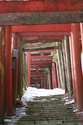 japon_koyasan_08-03-04-09-44-06-016.jpg