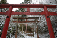 japon_koyasan_08-03-04-11-36-37-158.jpg