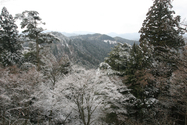 japon_koyasan_08-03-04-11-43-30-161.jpg