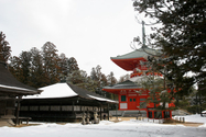 japon_koyasan_08-03-04-12-05-20-163.jpg