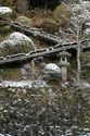 japon_koyasan_08-03-04-08-37-46-132.jpg