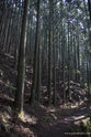 kumano_kodo_13-04-15_09-57-12_001.jpg