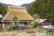 miyama_13-04-07_12-16-01_001.jpg