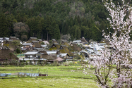 miyama_13-04-07_12-18-43_002.jpg