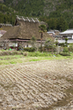 miyama_13-04-07_12-24-18_006.jpg