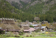 miyama_13-04-07_12-25-29_008.jpg