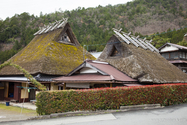 miyama_13-04-07_12-33-10_010.jpg