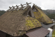 miyama_13-04-07_12-50-51_012.jpg