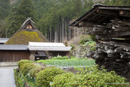 miyama_13-04-07_13-28-33_028.jpg