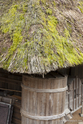 miyama_13-04-07_13-28-47_029.jpg