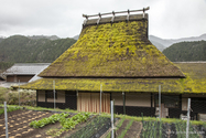 miyama_13-04-07_13-37-30_032.jpg