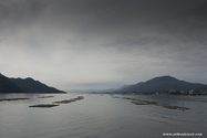 miyajima_10-11-25_12-44-41_003.jpg