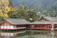 miyajima_10-11-25_13-43-26_014.jpg