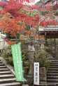 miyajima_10-11-25_13-55-18_019.jpg