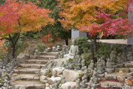 miyajima_10-11-25_13-56-56_020.jpg