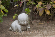 miyajima_10-11-25_14-04-16_028.jpg