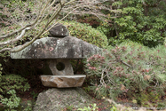 miyajima_10-11-25_14-06-40_032.jpg