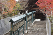 miyajima_10-11-25_14-09-56_034.jpg