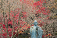 miyajima_10-11-25_14-13-36_037.jpg