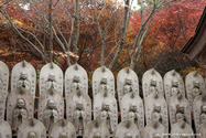 miyajima_10-11-25_14-17-58_038.jpg