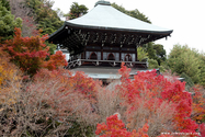 miyajima_10-11-25_14-19-11_040.jpg