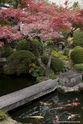 miyajima_10-11-25_15-09-36_052.jpg