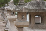 miyajima_10-11-25_15-25-26_060.jpg