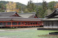 miyajima_10-11-25_15-28-25_064.jpg