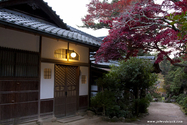 miyajima_10-11-25_16-45-12_080.jpg