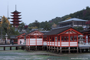 miyajima_10-11-25_17-03-08_085.jpg