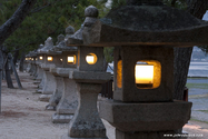 miyajima_10-11-25_17-06-13_086.jpg