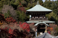 miyajima_10-11-26_11-10-53_126.jpg