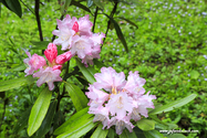 takachiho_17-04-21_09-30-43_002.jpg