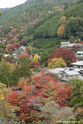 kyoto_10-11-17_10-54-51_536.jpg