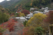 kyoto_10-11-17_10-55-49_537.jpg