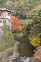 kyoto_10-11-17_11-06-58_540.jpg