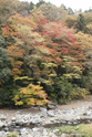 kyoto_10-11-17_11-18-15_543.jpg