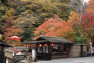 kyoto_10-11-17_11-29-20_548.jpg