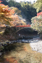 kyoto_10-11-17_12-37-24_566.jpg