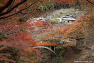 kyoto_10-11-17_14-01-10_592.jpg