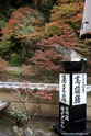 kyoto_10-11-17_14-29-49_600.jpg