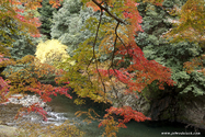 kyoto_10-11-17_14-33-24_602.jpg