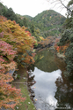 kyoto_10-11-17_14-37-08_605.jpg