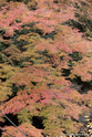 kyoto_10-11-17_14-38-12_607.jpg