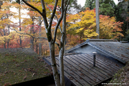 kyoto_10-11-17_14-54-08_611.jpg