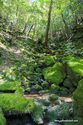 Yakushima_17-04-28_14-49-13_071.jpg