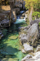 Yakushima_17-04-29_10-32-34_016.jpg