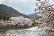 uji_13-04-03_08-34-31_007.jpg