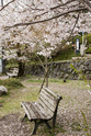 uji_13-04-03_08-35-00_008.jpg