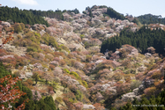 yushino_13-04-10_13-54-27_024.jpg